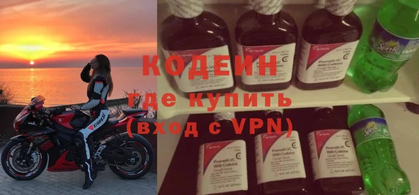 дживик Ельня