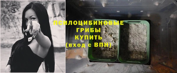 МДМА Заводоуковск