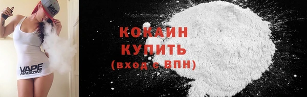 дживик Ельня