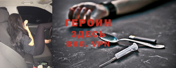 дживик Ельня