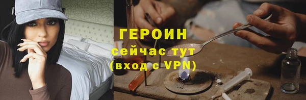 гидра Елизово