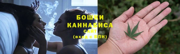 дживик Ельня