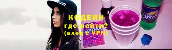 дживик Ельня