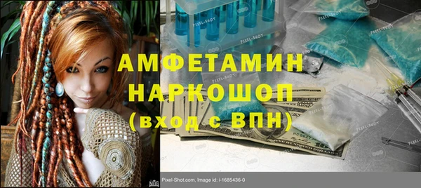 дживик Ельня