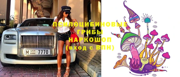 хмурый Дмитров