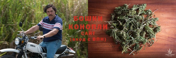 гидра Елизово