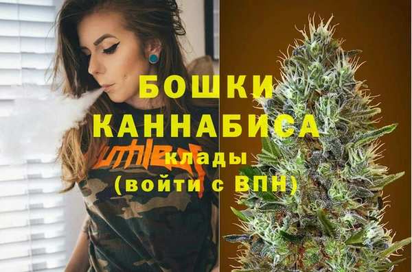 гидра Елизово