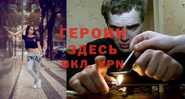 дживик Ельня