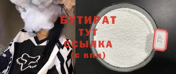 дживик Ельня